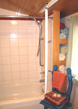 Shower in bath room